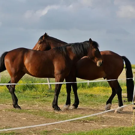 Familial Avec Jardin Et Wifi, Animaux Admis - Fr-1-622-77 Vihiers