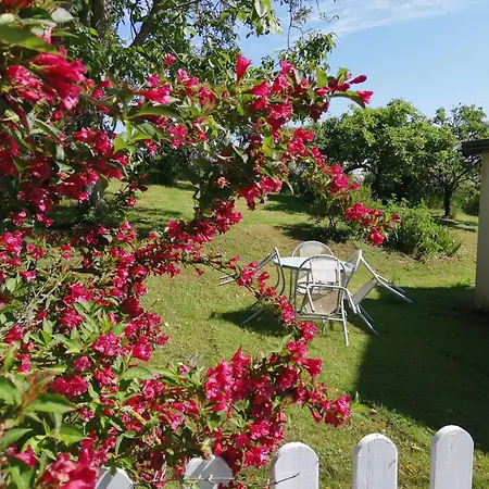 Familial Avec Jardin Et Wifi, Animaux Admis - Fr-1-622-77 *