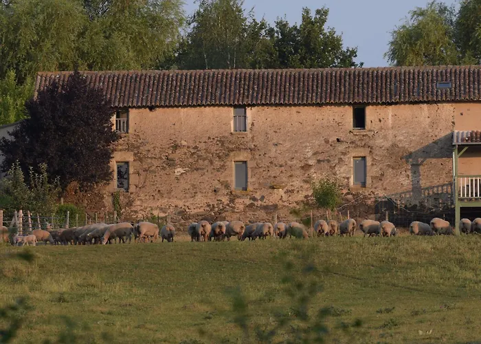 Familial Avec Jardin Et Wifi, Animaux Admis - Fr-1-622-77