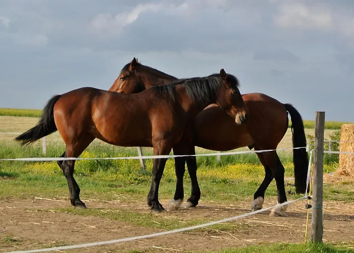 Familial Avec Jardin Et Wifi, Animaux Admis - Fr-1-622-77 Vihiers